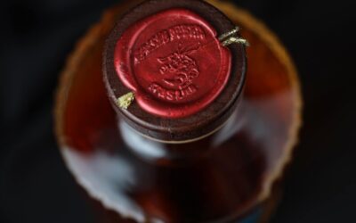 Stršljen Ekselencija: Rakija sa stavom, elegancijom i posebnom namjenom